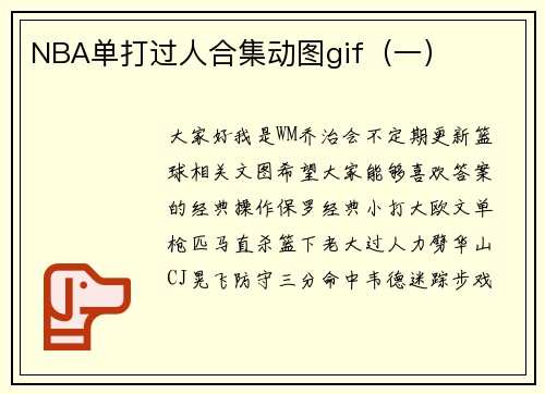 NBA单打过人合集动图gif（一）
